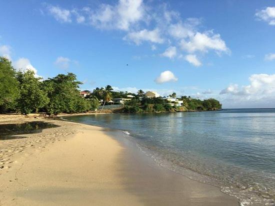 Nouveau Domaine De Mabouya Vue Mer Et Proximite Plage Sainte-Luce Eksteriør billede